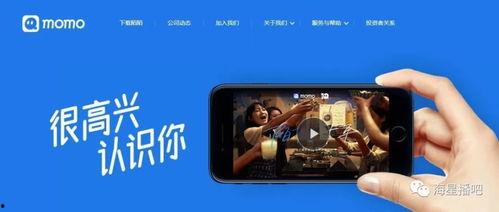 娱乐吃瓜直播怎样加入公会,揭秘娱乐直播加入公会全攻略