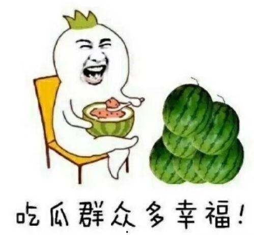 吃瓜的娱乐号是什么,吃瓜群众热议的娱乐号背后的故事